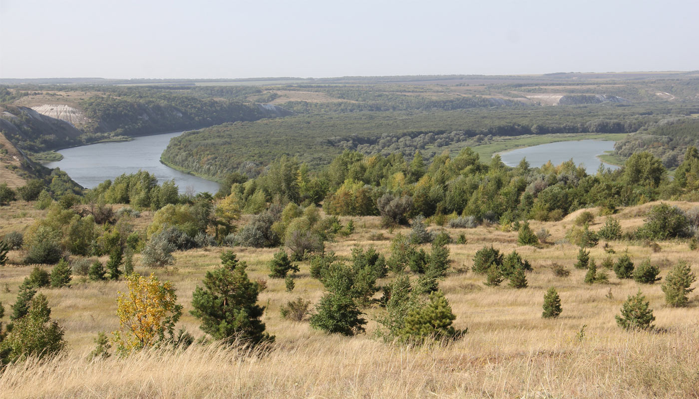 Осетровский плацдарм фото