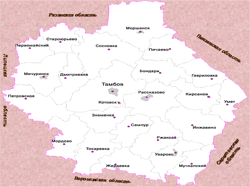 Тамбов обл. Карта Тамбовской области с районами. Области граничащие с Тамбовской областью. Карта Тамбовской обл по районам. Карта Тамбовской области по районам.